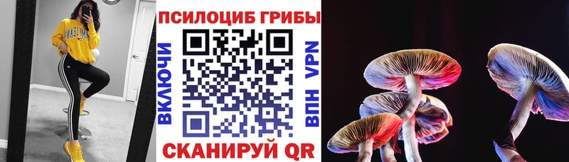 Псилоцибиновые грибы Magic Shrooms  Белая Калитва 