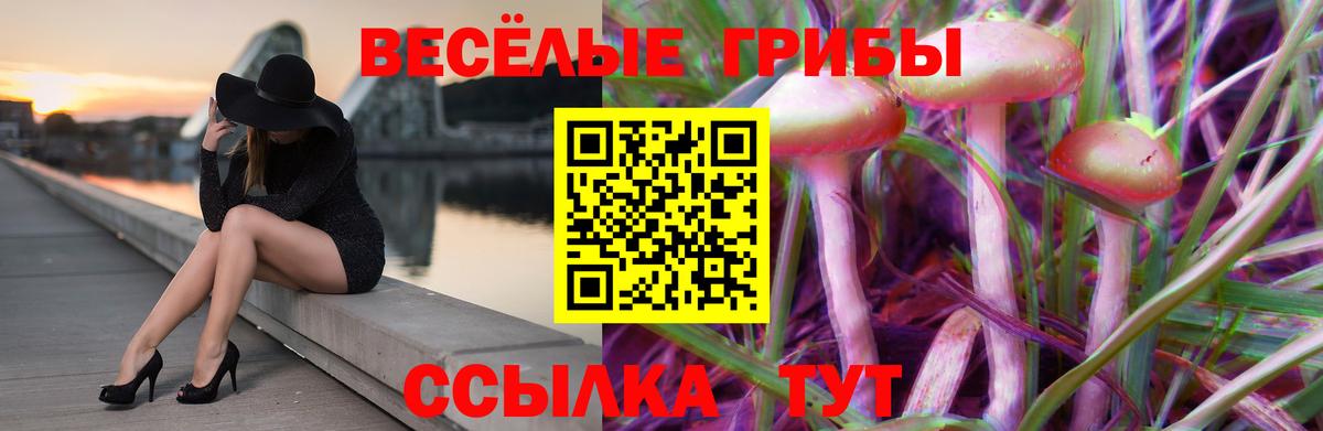 Галлюциногенные грибы Psilocybine cubensis  Псилоцибиновые грибы GOLDEN TEACHER  Белая Калитва 