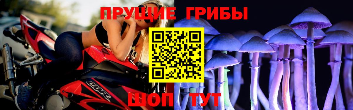 Галлюциногенные грибы мицелий Белая Калитва
